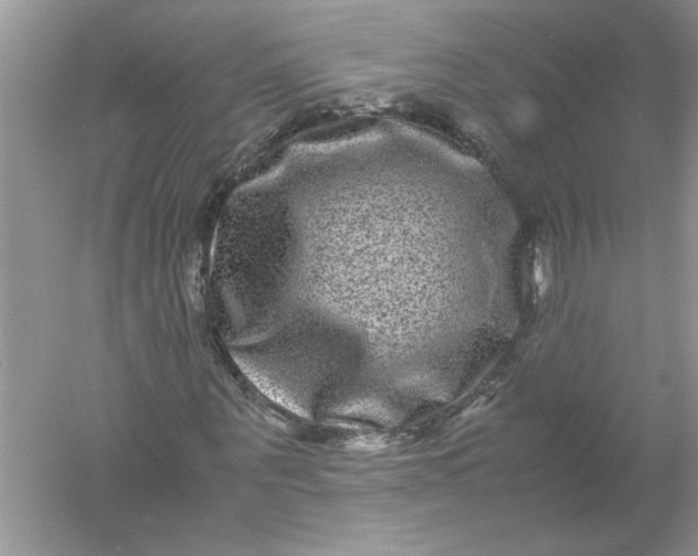 X0000061140867200512022245