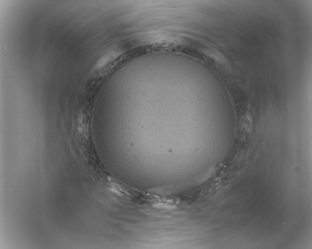 X0000061140869200512022245