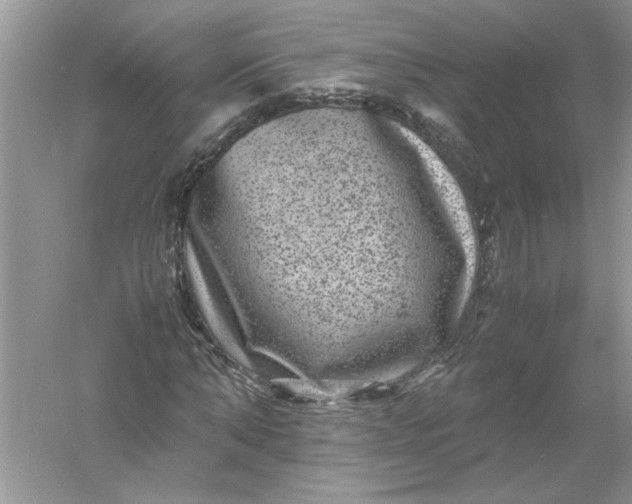 X0000061140870200512022245