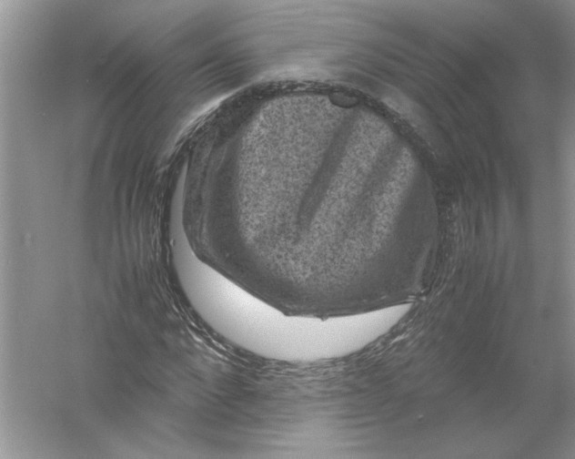 X0000061140872200512022245