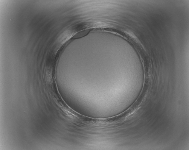 X0000061140873200512022245