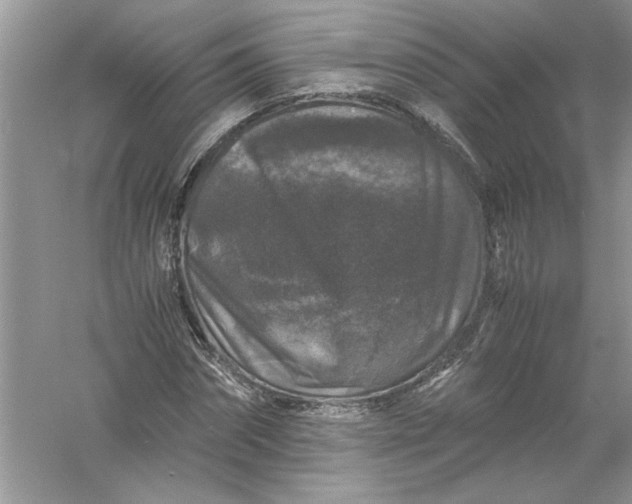 X0000061140874200512022245