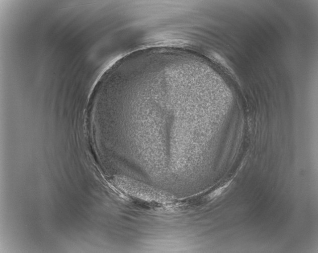 X0000061140875200512022245