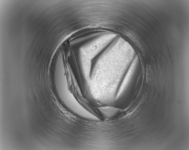 X0000061140876200512022245