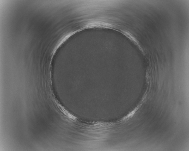 X0000061140877200512022245