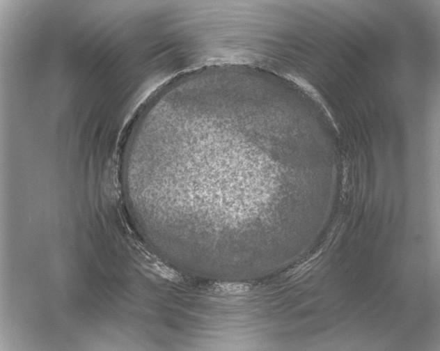 X0000061140878200512022244