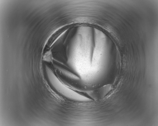 X0000061140880200512022244