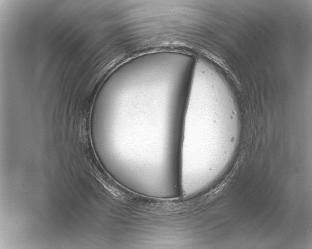 X0000061140881200512022244