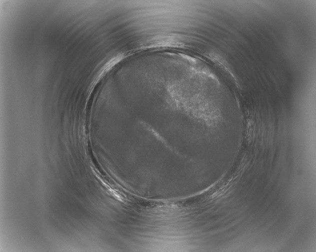 X0000061140882200512022244