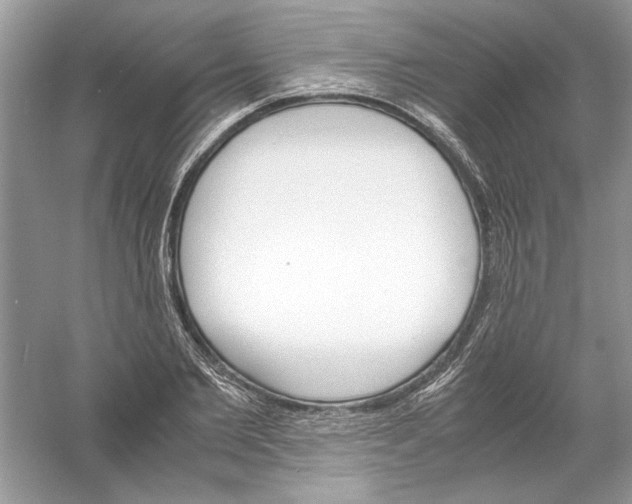 X0000061140885200512022244