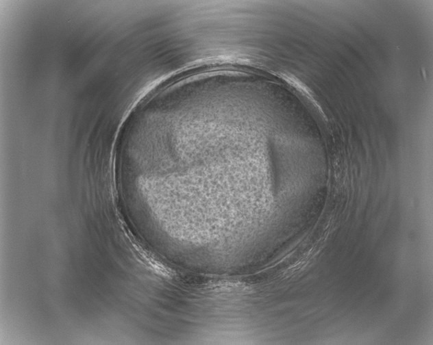 X0000061140886200512022244