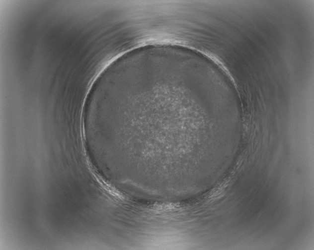 X0000061140887200512022244