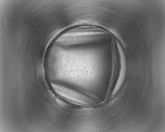 X0000061140888200512022244