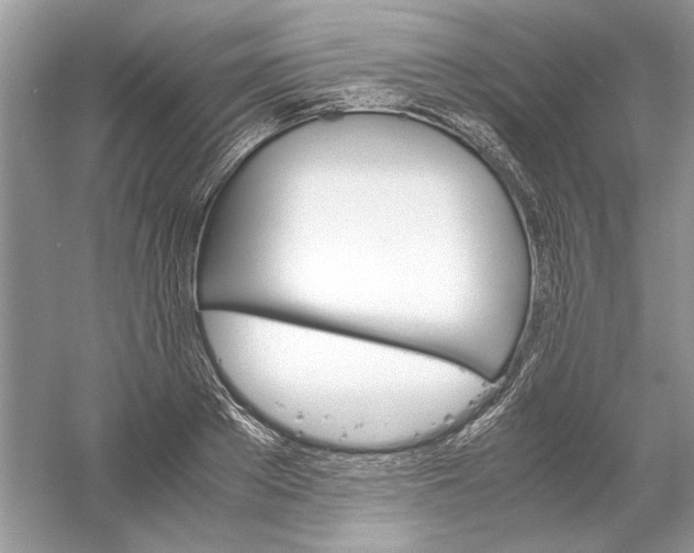 X0000061140889200512022244