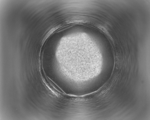 X0000061140890200512022244