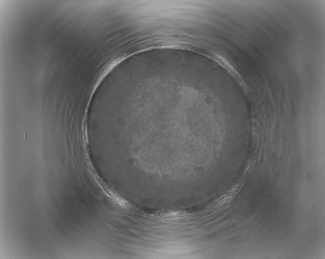 X0000061140891200512022244