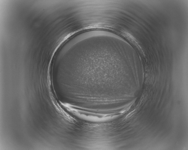 X0000061140892200512022244