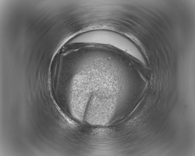 X0000061140894200512022244