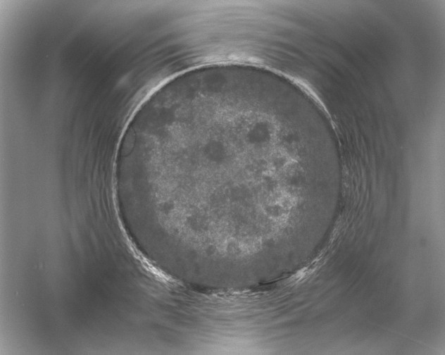 X0000061140895200512022244