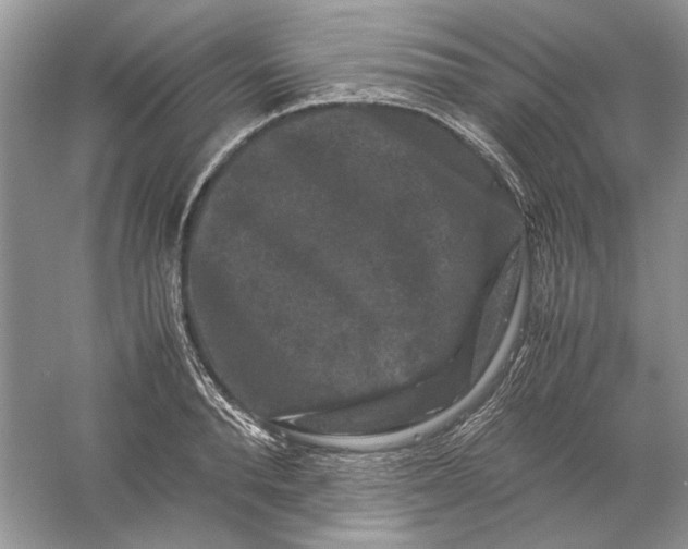 X0000061140896200512022244