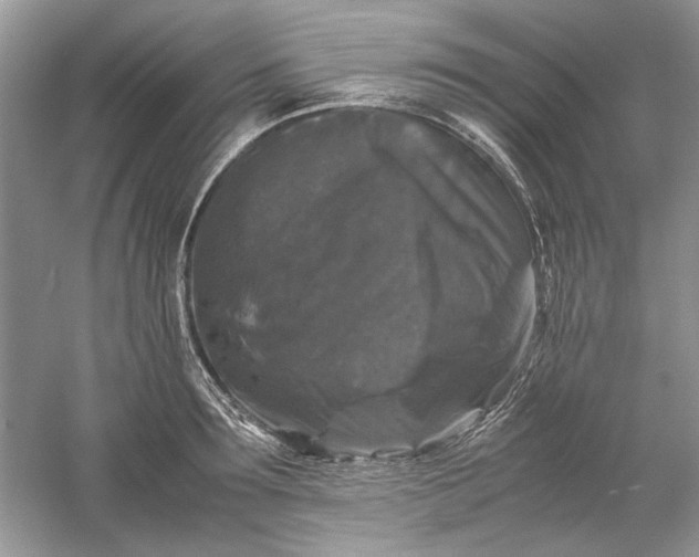 X0000061140899200512022244