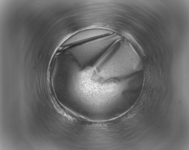 X0000061140900200512022244