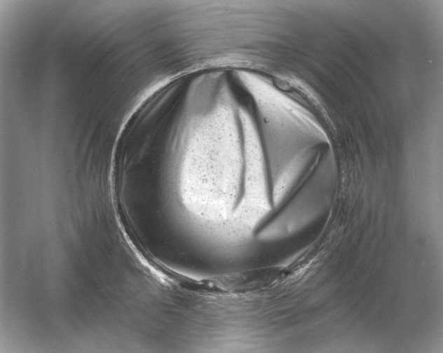 X0000061140902200512022244