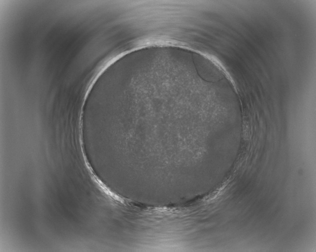 X0000061140903200512022244