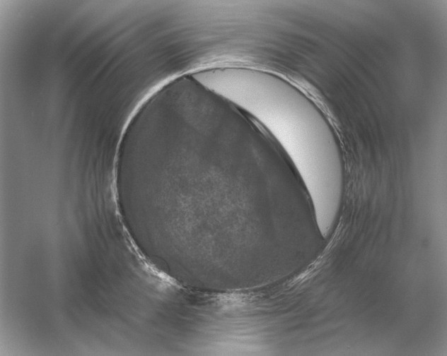 X0000061140904200512022244