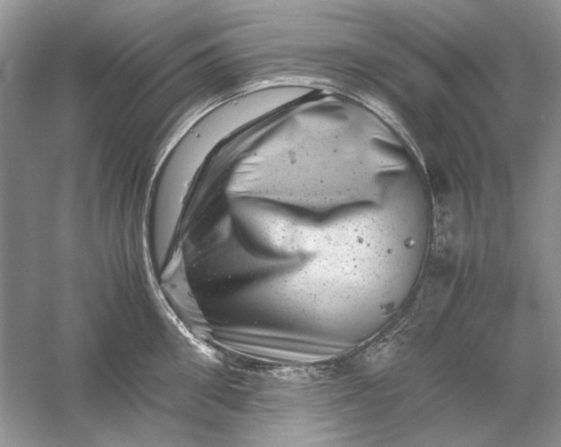 X0000061140906200512022244