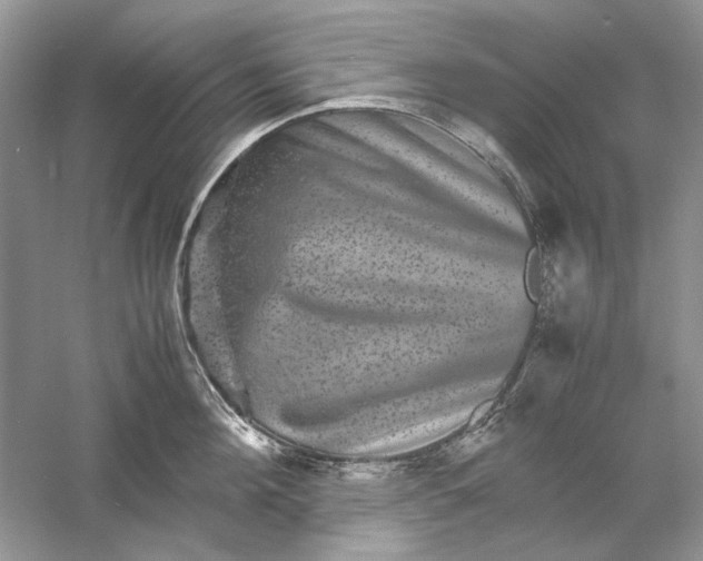 X0000061140908200512022244