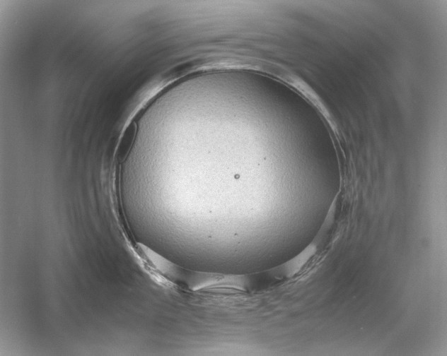 X0000061140909200512022244