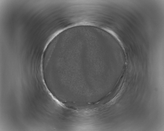 X0000061140910200512022244