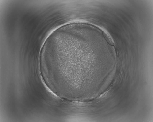 X0000061140911200512022244