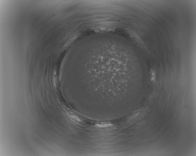 X0000061140915200512022243