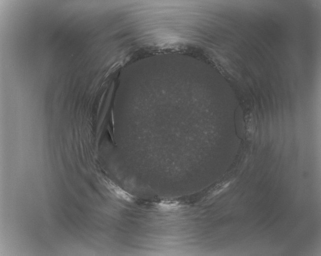 X0000061140916200512022243