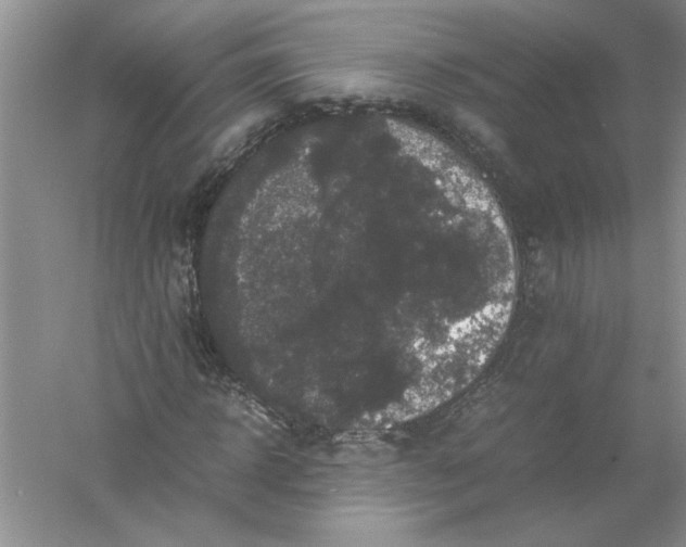 X0000061140918200512022243