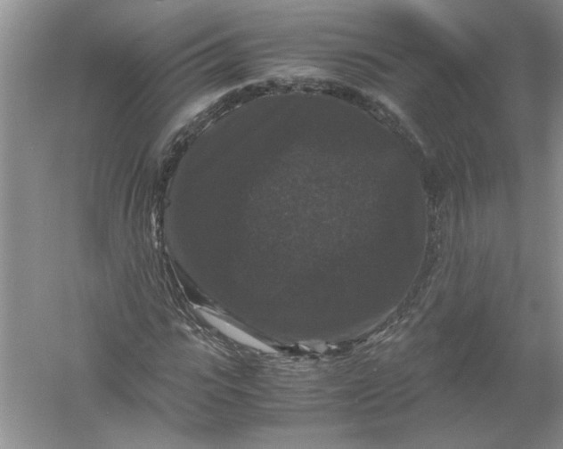 X0000061140919200512022243