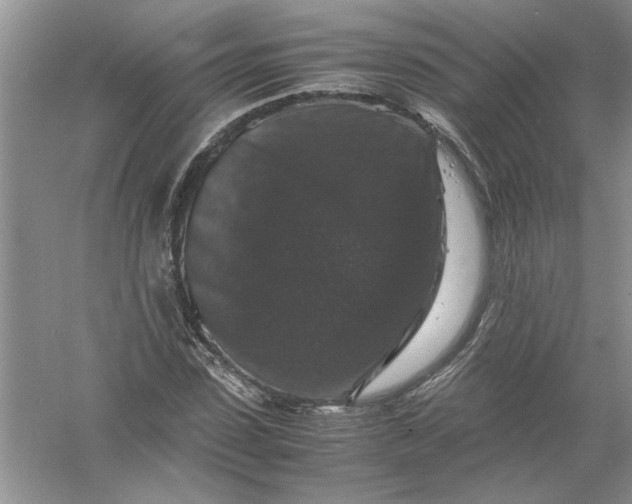 X0000061140923200512022243