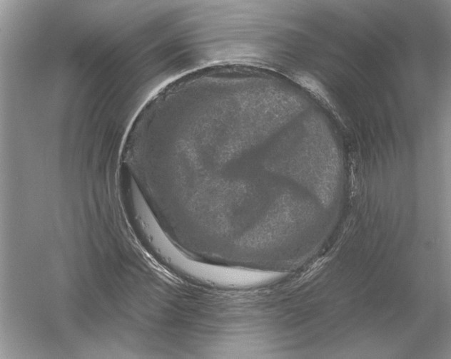 X0000061140924200512022243