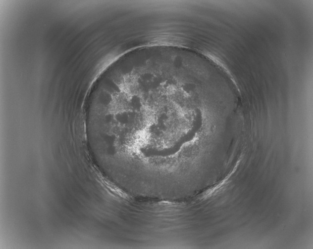 X0000061140925200512022243