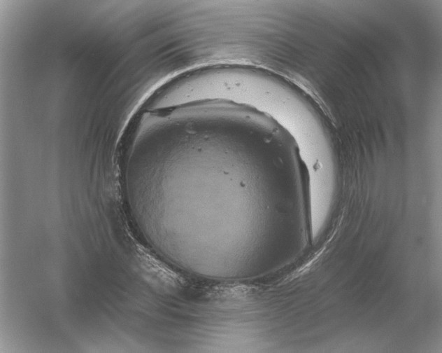 X0000061140926200512022243