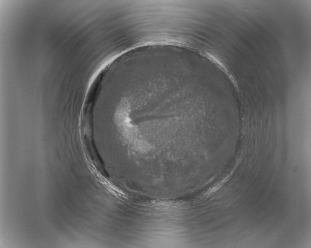 X0000061140928200512022243