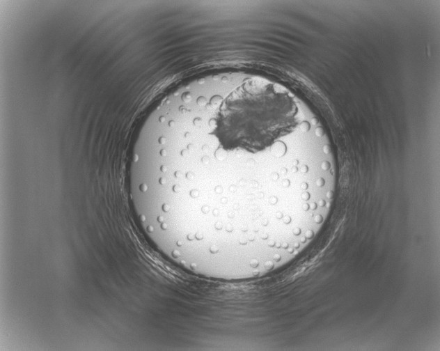 X0000061140929200512022243