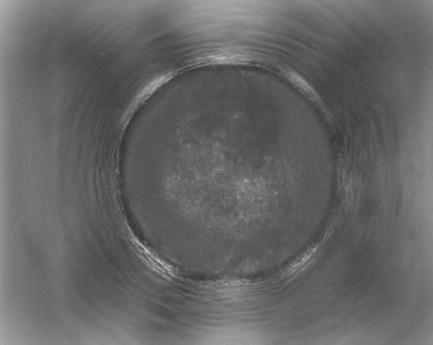 X0000061140930200512022243