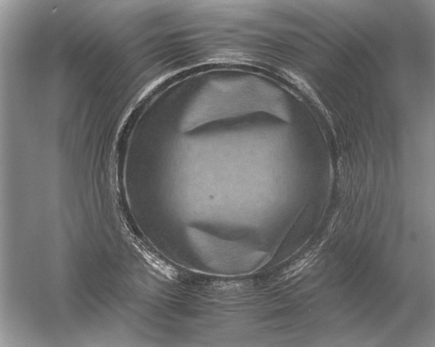 X0000061140931200512022243