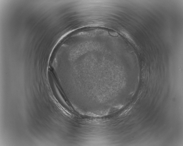 X0000061140932200512022243