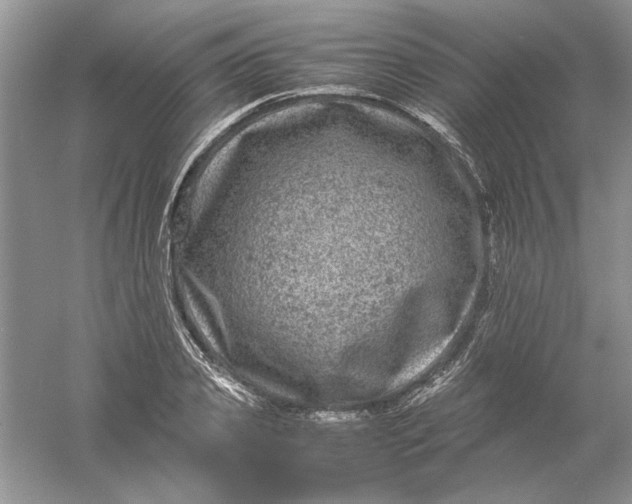 X0000061140933200512022243