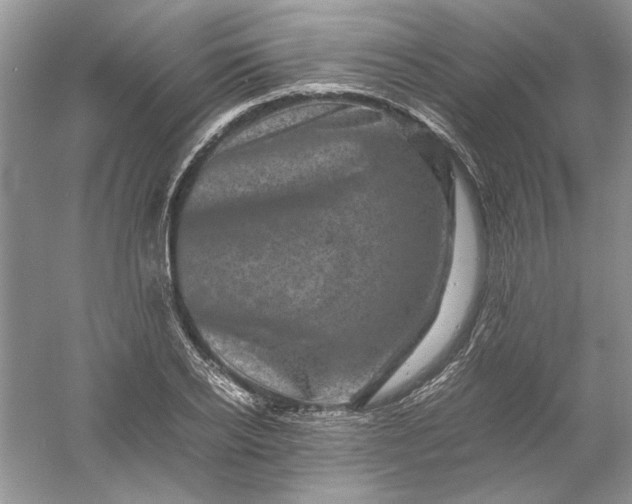 X0000061140934200512022243