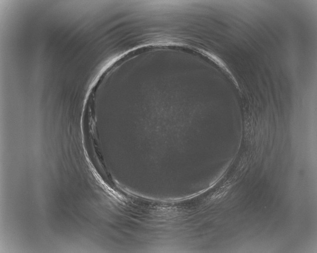 X0000061140935200512022243